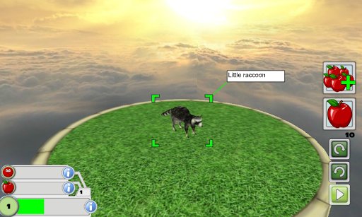 Virtual Pet 3D - Raccoon