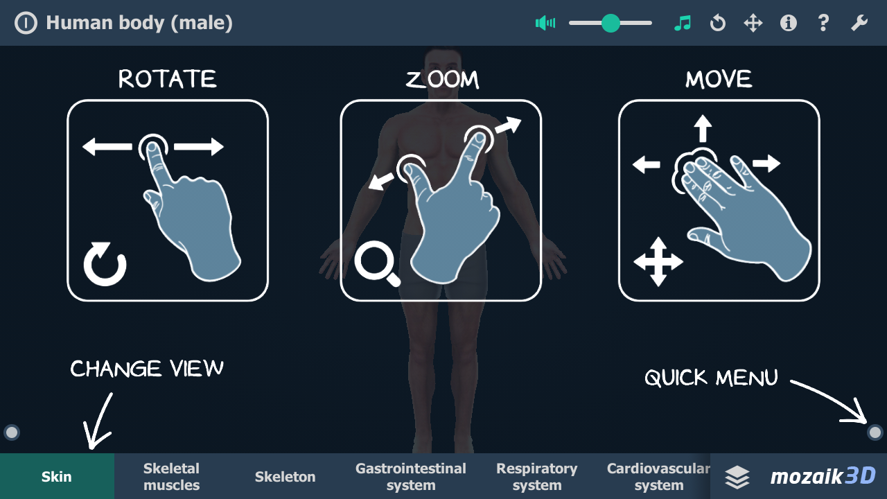 Human body (male) educational VR 3D Android Apps on Google Play