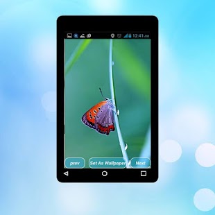 How to mod Animals Wallpapers 1.0 mod apk for android