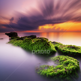 The Natural Duality by Eggy Sayoga - Landscapes Sunsets & Sunrises