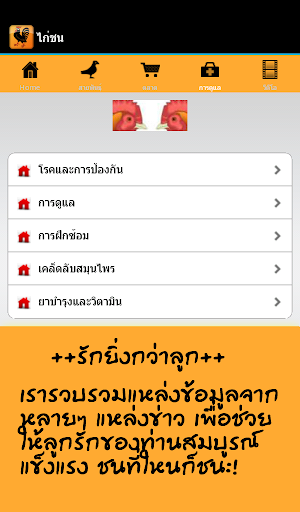 【免費運動App】ไก่ชน ตลาด สินค้า ข่าวสาร-APP點子