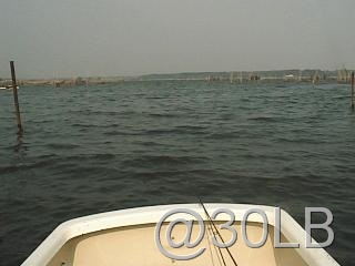 [0004-1010321[5].jpg]
