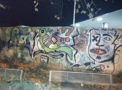 Mural Do Passaro Verde