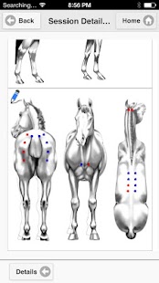 Download Cavanti APK for PC