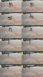 How to mod Photo Burst 4k Timer Camera 1.0 mod apk for bluestacks