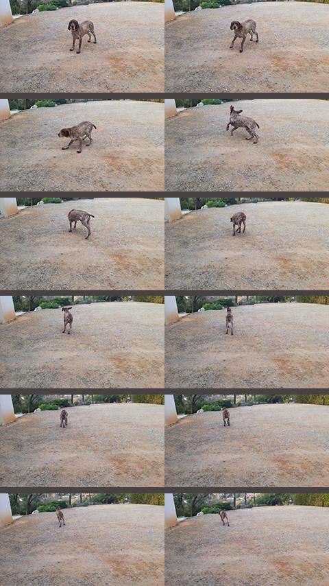 Photo Burst 4k Timer Camera Screen 2