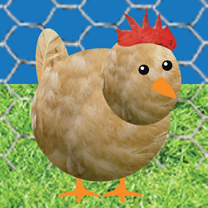 Chicken Pet Game.apk