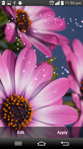 【免費娛樂App】Pink Flowers Live Wallpaper-APP點子