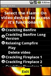 Fireplaces and Campfires Pro