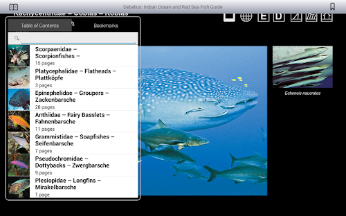 Android application Ind. Ocean &amp; Red Sea FishGuide screenshort