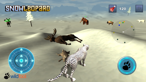 Snow Leopard Chase Simulator