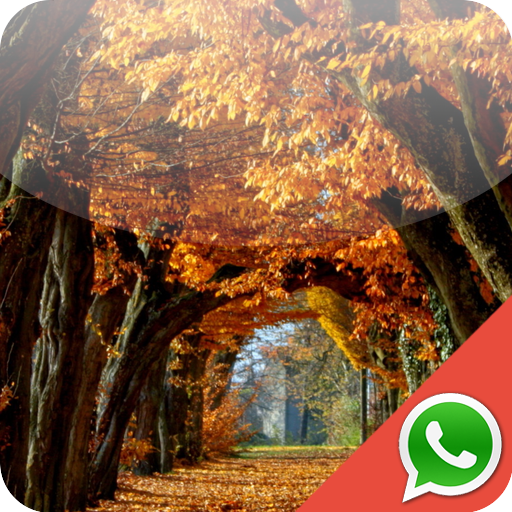 Autumn Wallpapers for WhatsApp LOGO-APP點子