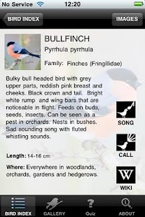 How to get BirdsUK 8.0 mod apk for android