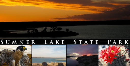 RV Parky | RV Parks & Campgrounds Directory, Reviews, Photos