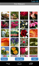 Rose Wallpapers by Right Brain Mobile poster 1