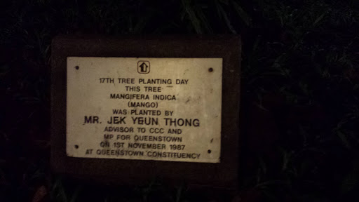Mangerifica Indica Tree planting Plaque