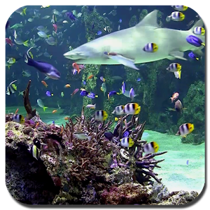 Aquarium live wallpaper 1.0.1