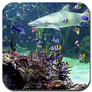 Aquarium live wallpaper