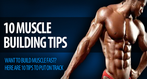 Building Muscle Fastest