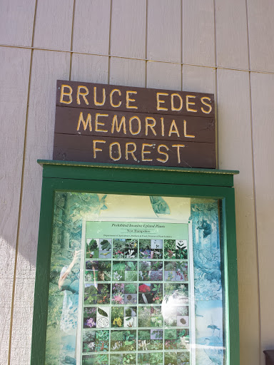 Bruce Edes Memorial Forest