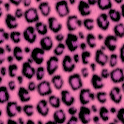 LiveWallpaper Leopard Pink
