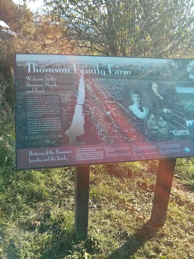 Thomson Marsh and Trail