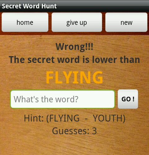 Secret Word Hunt