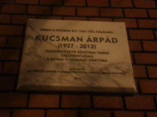 Kucsman Árpád