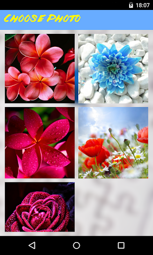 【免費解謎App】Flowers Jigsaw Puzzle-APP點子