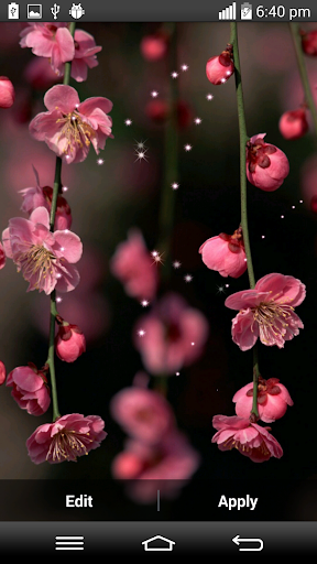 【免費娛樂App】Spring Flower Live Wallpaper-APP點子