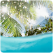 3D Coconut Tree (PRO)
