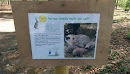Info Sign Hedgehog