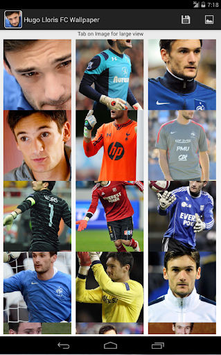 Hugo Lloris FC Wallpaper