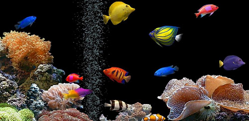 3D Underwater world 1.9