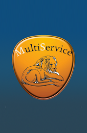 Multiservice poster 1