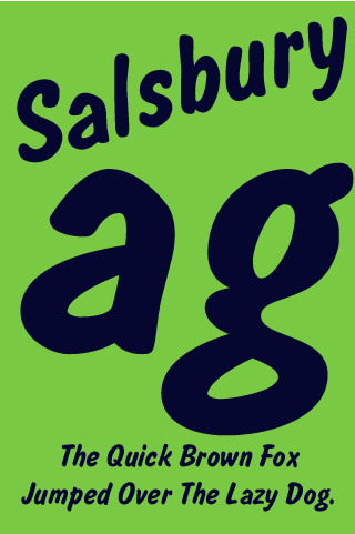 Android application Salsbury FlipFont screenshort