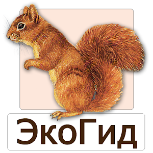 EcoGuide: Russian Wild Mammals