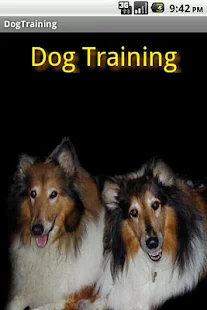 Dog Training Guide