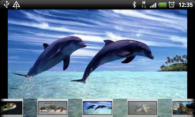 Kids Smart Games Screen 3