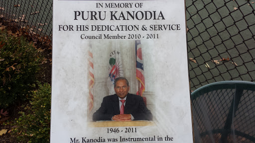 Puru Kanodia Memorial