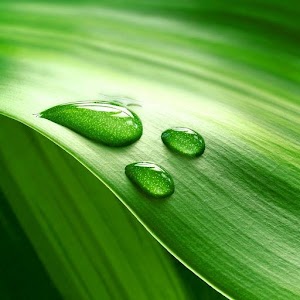 DEMOTOGA.apk 1.0.3