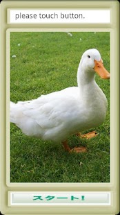 Download アヒルさんぱずる APK for Android