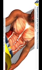 8 ����� ��� ������