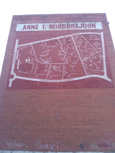 Anne 1. Mikrorajoon