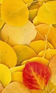 How to download Leaves Wallpapers lastet apk for bluestacks