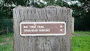 Bay Tree Trail Directions