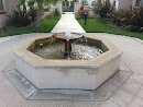 Santa Cruz Island Drive Fountain