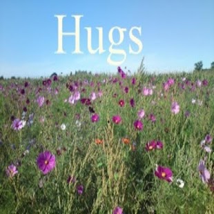 Free Download HUGS APK for Android