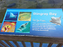 Stingray Bay 
