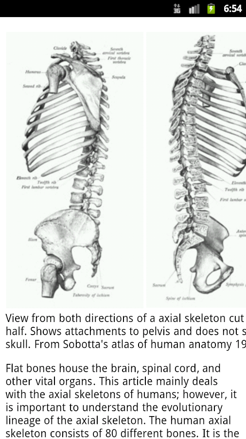 Human Anatomy - Android Apps on Google Play